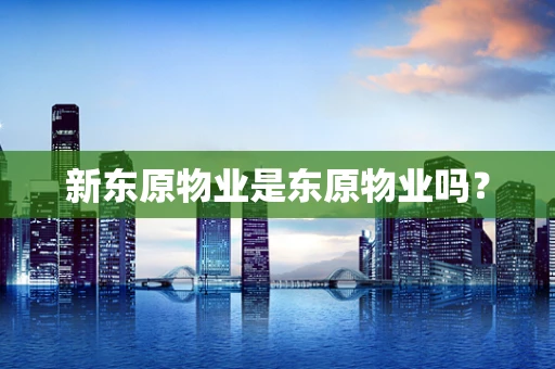 新东原物业是东原物业吗？