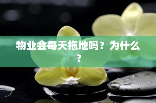 物业会每天拖地吗？为什么？