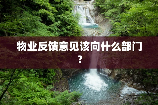 物业反馈意见该向什么部门？