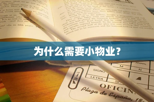 为什么需要小物业？