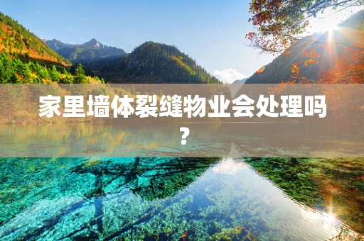 家里墙体裂缝物业会处理吗？