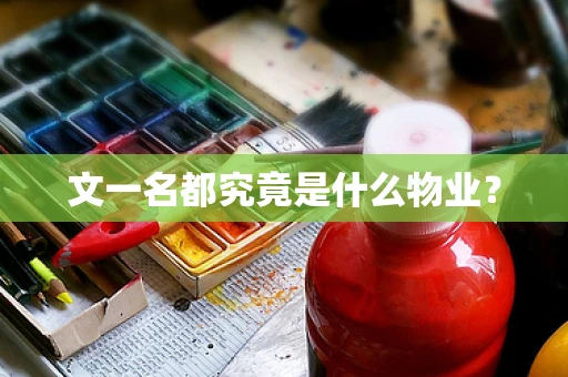 文一名都究竟是什么物业？