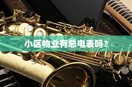 小区物业有总电表吗？