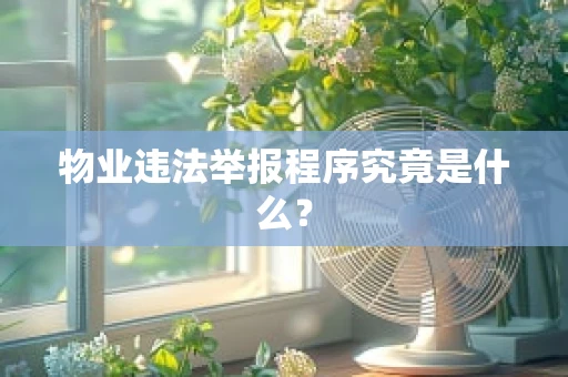 物业违法举报程序究竟是什么？