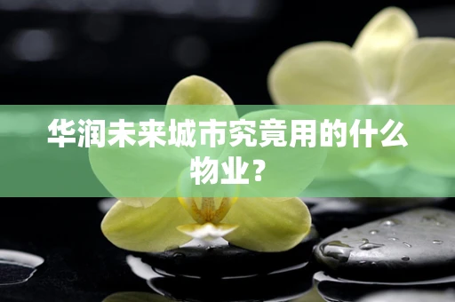 华润未来城市究竟用的什么物业？