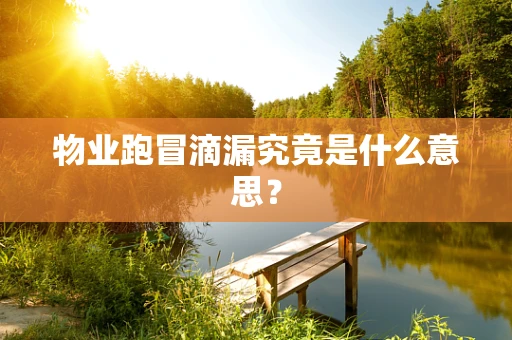 物业跑冒滴漏究竟是什么意思？
