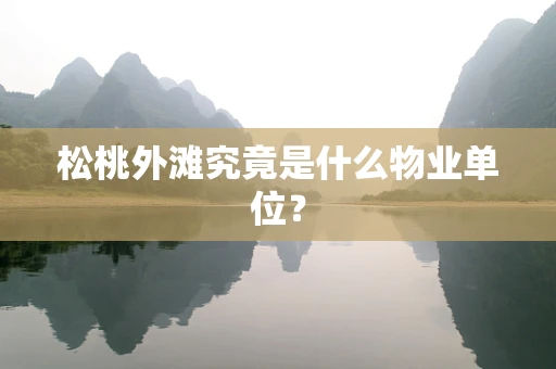 松桃外滩究竟是什么物业单位？