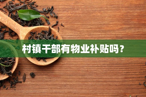 村镇干部有物业补贴吗？