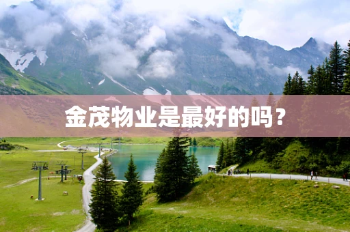 金茂物业是最好的吗？