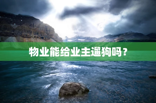 物业能给业主遛狗吗？