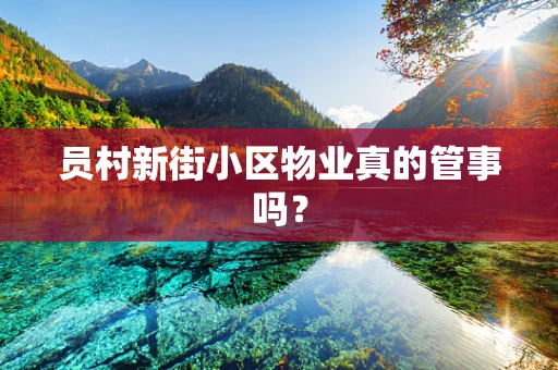员村新街小区物业真的管事吗？