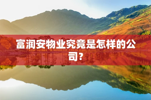 富润安物业究竟是怎样的公司？