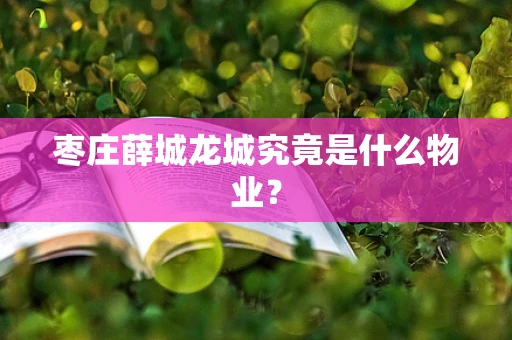 枣庄薛城龙城究竟是什么物业？