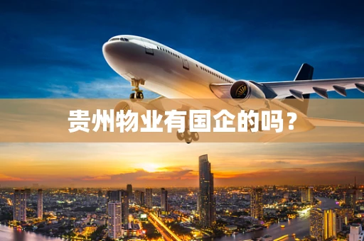 贵州物业有国企的吗？