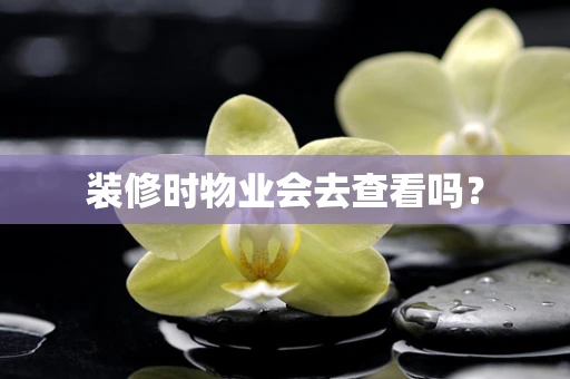装修时物业会去查看吗？