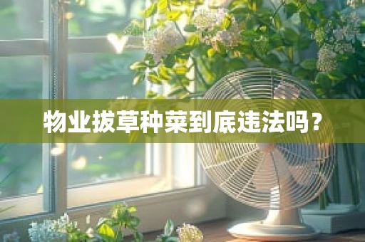 物业拔草种菜到底违法吗？