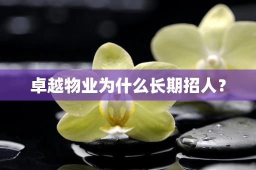 卓越物业为什么长期招人？