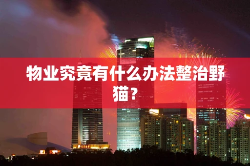 物业究竟有什么办法整治野猫？