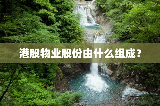 港股物业股份由什么组成？