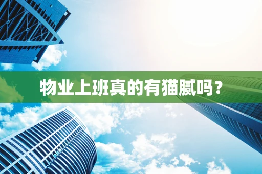 物业上班真的有猫腻吗？
