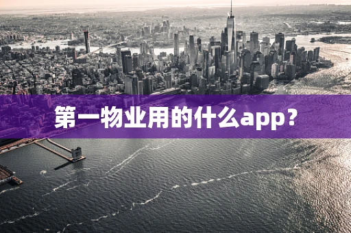 第一物业用的什么app？