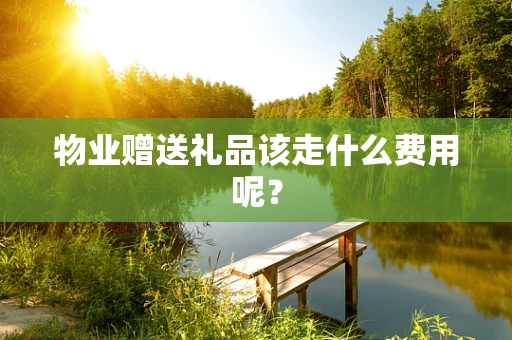 物业赠送礼品该走什么费用呢？