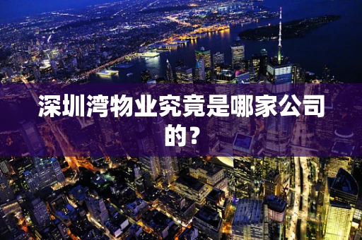 深圳湾物业究竟是哪家公司的？