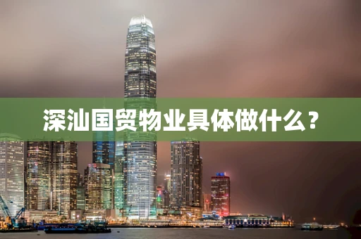 深汕国贸物业具体做什么？