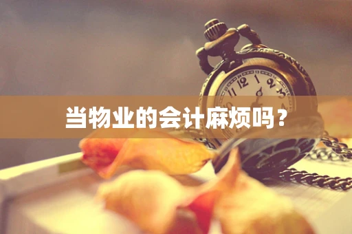 当物业的会计麻烦吗？