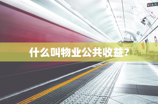 什么叫物业公共收益？