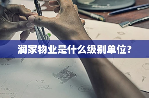 润家物业是什么级别单位？