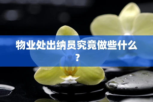 物业处出纳员究竟做些什么？