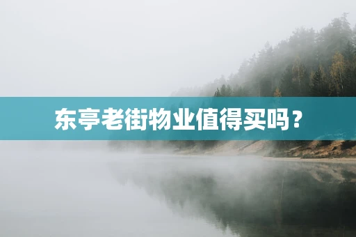 东亭老街物业值得买吗？