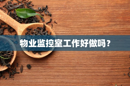 物业监控室工作好做吗？