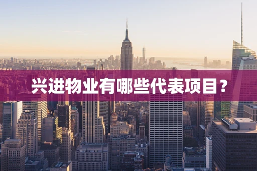 兴进物业有哪些代表项目？