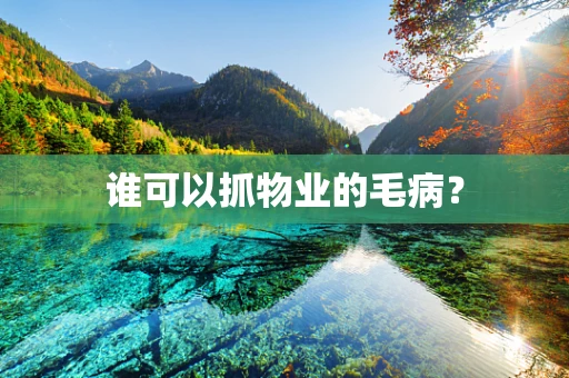 谁可以抓物业的毛病？