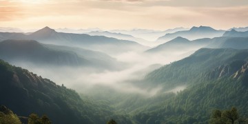 五岭央著究竟是什么物业？