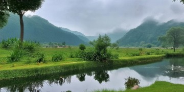 河西小区物业管事吗？