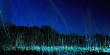 星光码头需要怎样的物业管理？